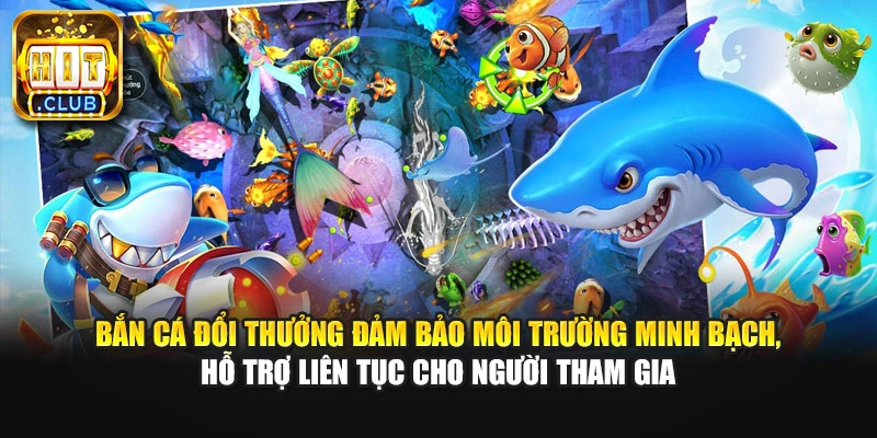 Bắn cá đổi thưởng đảm bảo môi trường minh bạch, hỗ trợ liên tục cho người tham gia