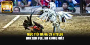 Trực Tiếp Đá Gà C3 Hitclub | Link Xem Full HD Không Giật