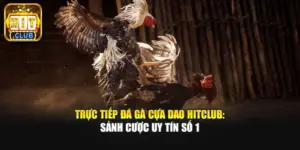 Trực Tiếp Đá Gà Cựa Dao Hitclub: Sảnh Cược Uy Tín Số 1